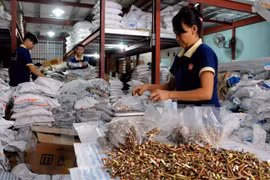 Deux vagues d'investissements européens prévues au Vietnam