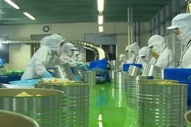 Alimentaire: un nouveau projet du groupe sud-coréen mis en chantier à Hô Chi Minh-Ville