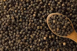 La République tchèque, un marché prometteur pour le poivre du Vietnam