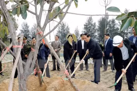 Lancement de la Fête de plantation d'arbres du Printemps Dinh Dâu 2017