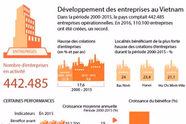 Développement des entreprises au Vietnam