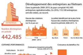 Développement des entreprises au Vietnam