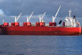 Quatre marins vietnamiens sauvés d’un naufrage en Afrique du Sud