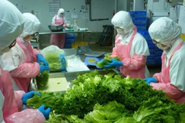 Elever la capacité logistique pour le développement du secteur des fruits et légumes