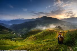 Une photo de Mu Cang Chai primée à l'international