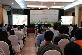 Hanoï : le développement de l’électricité solaire au Vietnam au cœur d’un colloque