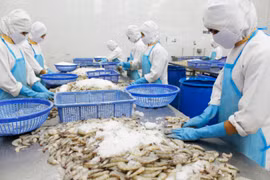 Les Etats-Unis, 1er importateur de produits aquatiques du Vietnam