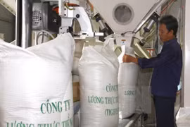 An Giang cible 800 millions de dollars d'exportations