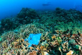 L'ASEAN discute de la gestion des plastiques océaniques