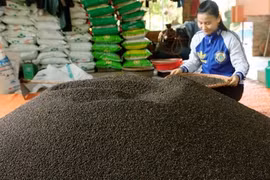 Le Vietnam table sur 1,6 milliard de dollars d’exportations de poivre en 2017
