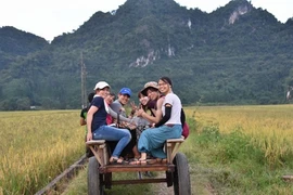 Nghê An : le village de Nua développe le tourisme communautaire