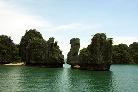Bai Tu Long devient le 38e parc patrimonial de l’ASEAN