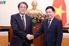 Le vice-Premier ministre Pham Binh Minh reçoit l’ambassadeur du Japon