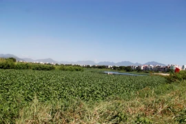 Achèvement de la décontamination de l'aéroport de Da Nang (deuxième phase)