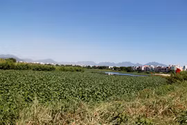 Achèvement de la décontamination de l'aéroport de Da Nang (deuxième phase)