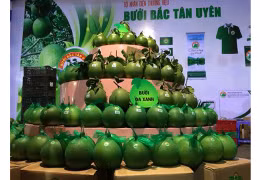 Binh Duong cherche à valoriser ses agrumes