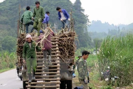 Le Vietnam s’intéresse toujours à la réduction durable de la pauvreté