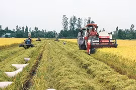 APEC 2017 : renforcement de la sécurité vivrière et de l’adaptation au changement climatique