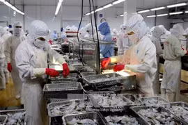 Produits aquatiques: Le Vietnam cible 8 millions de dollars d’exportation en 2017