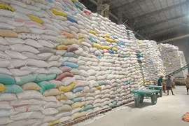 Le Vietnam espère devenir le plus important partenaire commercial de l'UE en ASEAN