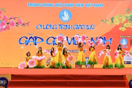 Les étudiants étrangers saluent le Têt traditionnel vietnamien