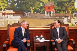 Promotion des relations de coopération Vietnam-Irlande