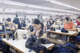 Dong Nai résout les difficultés des entreprises issues de l’IDE