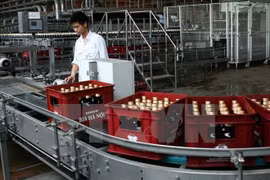 Les entreprises de bière étrangères renforcent leurs investissements au Vietnam