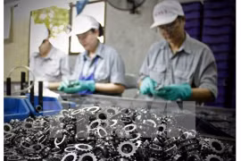 Le Vietnam et la région japonaise de Hokuriku renforcent leur coopération