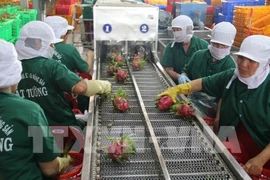 Fruits et légumes : colloque pour augmenter les exportations en UE 