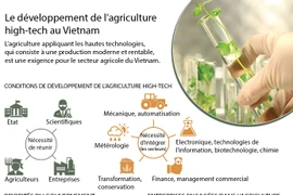 Le développement de l’agriculture high-tech au Vietnam