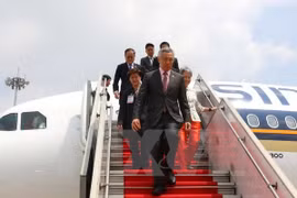 Promouvoir la coopération entre Da Nang et Singapour