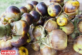 Le sucre de palme, une spécialité d’An Giang