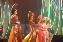 Clôture du Festival des fleurs de Da Lat 2017