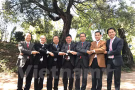 S'orienter vers la célébration des 50 ans de la fondation de l’ASEAN en Afrique du Sud