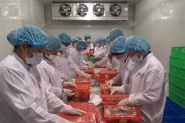 Les exportations nationales sont au beau fixe 