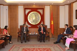 Le Vietnam souhaite promouvoir la coopération avec la Palestine dans la culture