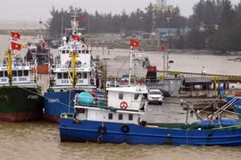  Le rétablissement des activités de pêche suite au scandale de Formosa