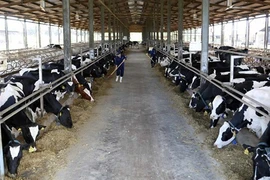 L’agriculture durable et la sécurité alimentaire - une des priorités dans la coopération de l'APEC
