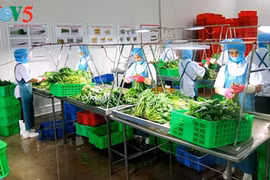 Multiplier les modèles agricoles high-tech