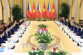 Porter les relations Vietnam-R. tchèque à une nouvelle hauteur 