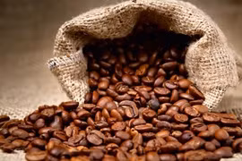 Importation de café vietnamien : l’Allemagne conserve son trône