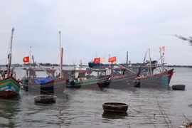 La vie de la population du Ha Tinh s’améliore de plus en plus après l’incident de Formosa