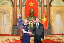 Le président vietnamien reçoit de nouveaux ambassadeurs
