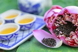 Un festival de la gastronomie à Hanoï
