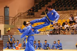 Promotion du Vovinam à l’international