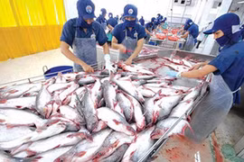  2017 : une bonne année pour l’aquaculture