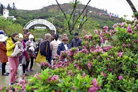 La fête des fleurs de rhododendron à Sa Pa
