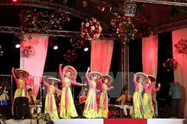 Le Vietnam se produit au Festival du folklore mondial en Roumanie