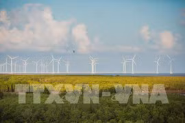 Bac Lieu travaille avec des investisseurs dans l’énergie éolienne